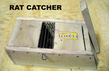 Rat Catcher